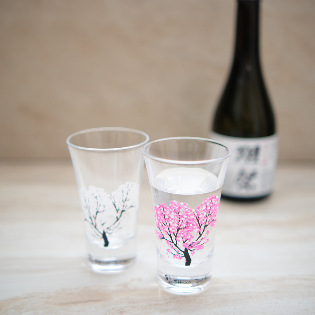 Buy BOLLAER Sake Pot Set, Japanese Cold Sake Glasses, Clear Unique